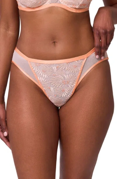 Montelle Intimates Tangerine Dream Embroidered Sheer Mesh Bikini Briefs In Brown