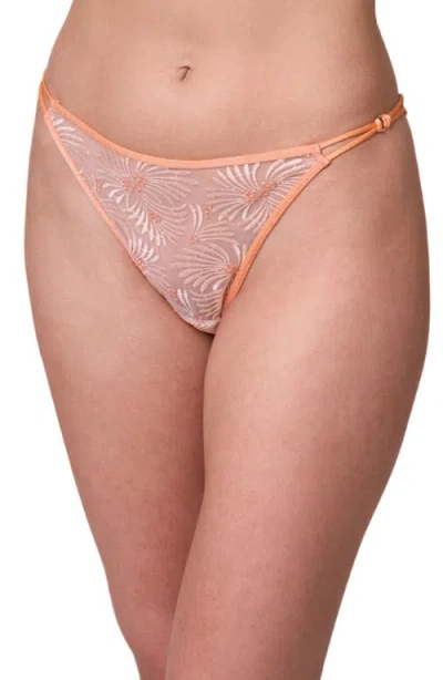 Montelle Intimates Tangerine Dream Embroidered Sheer Mesh Bikini Briefs In Brown