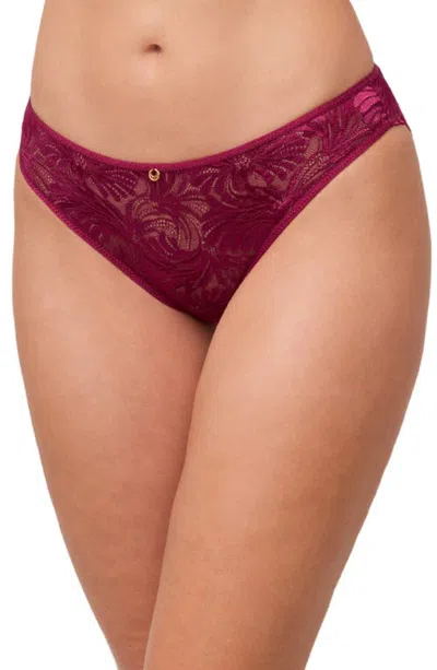 Montelle Intimates Vixen Bikini In Dark Cherry
