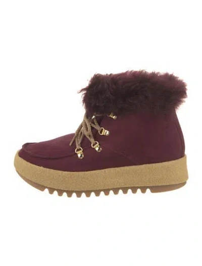 Pre-owned Montelliana Suede Lace-up Boots In Burgundy