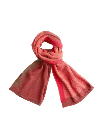Monticelli Cashmere Cashmere Merino Ultra-soft Marled Knit Scarf In Pink