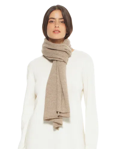 Monticelli Cashmere Pure Cashmere Cloud-soft Scarf In Gray