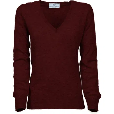 Monticelli Cashmere Pure Cashmere Essential V-neck Sweater In Burgundy