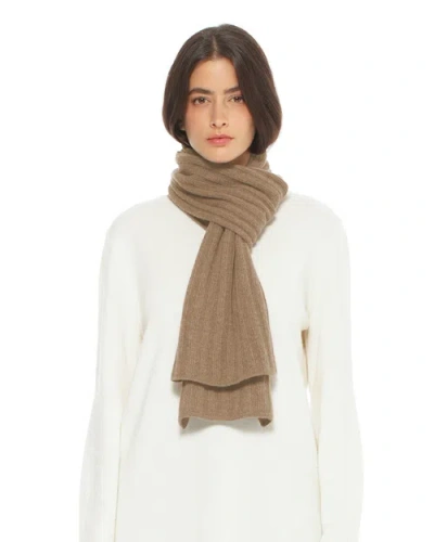 Monticelli Cashmere Pure Cashmere Plush-ribbed Scarf In Brown