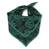 Monzlapur Silk Serpent Noir Scarf In Green