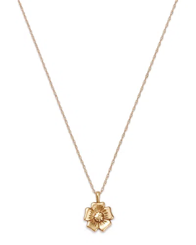 Moon & Meadow 14k Yellow Gold Flower Pendant Necklace, 18