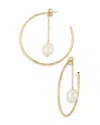 Moon & Meadow 14k Yellow Gold Hoop Earrings With Cultured Freshwater Pearl - Exclusive In Pearl