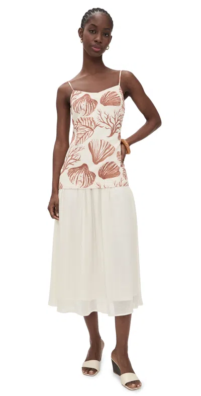 Moon River Spaghetti Strap Seashell Midi Dress Cream Multi