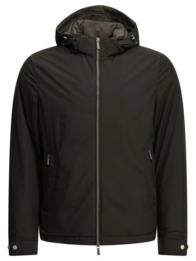 Moorer "albini Stp" Short Down Jacket In Brown