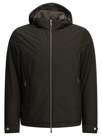 Moorer "albini-stp" Short Down Jacket In Multi