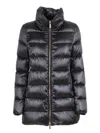 Moorer Dorado-hc Jacket In Black