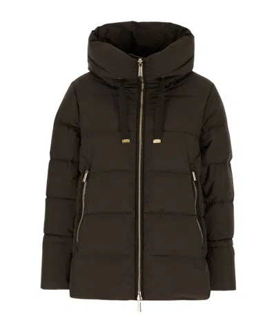 Moorer Gadia-stp Quilted Hooded Jacket In Brown