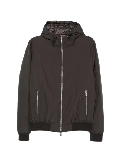 Moorer Hooded Bomber Jacket In Brown