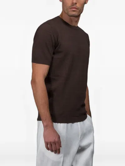 Moorer Jude Short-sleeve Sweater In Brown