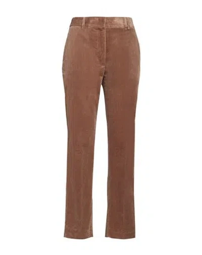 Moorer Woman Pants Light Brown Size 2 Cotton In Beige