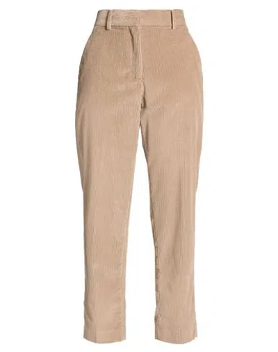 Moorer Woman Pants Light Brown Size 8 Cotton In Neutral