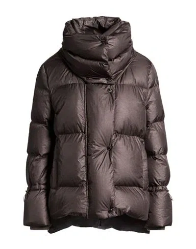 Moorer Woman Puffer Grey Size 4 Polyamide, Virgin Wool In Brown