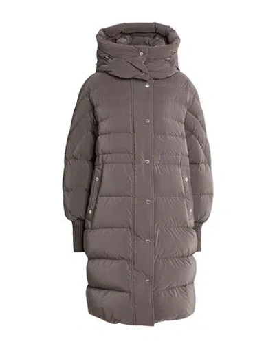 Moorer Woman Puffer Taupe Size 4 Polyamide, Polyester, Virgin Wool In Gray