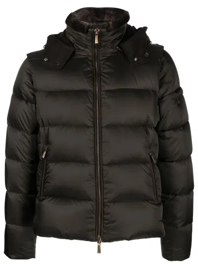 Moorer Zip-up Padded Down Jacket In Green