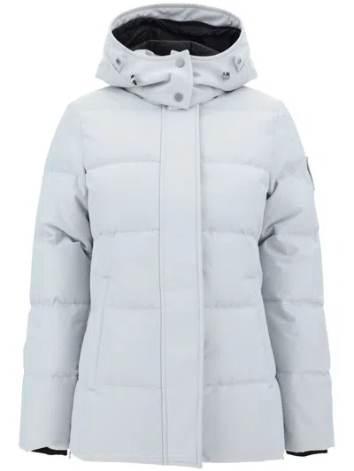 Moose Knuckles Cloud 3q Down Puffer Jacket With Removable Hood In Grey