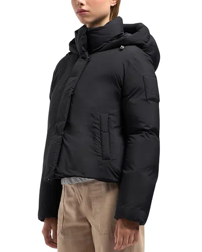 Moose Knuckles Duvet Koya Hooded Down Jacket In Black