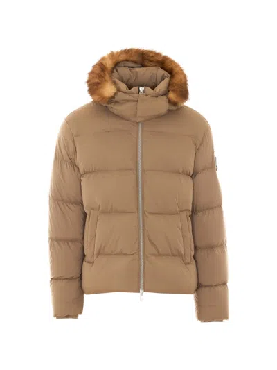 Moose Knuckles Everest Puffer Jacket In Brown