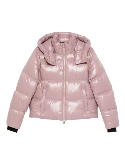 Moose Knuckles Hooded Puffer Jacket In Pink