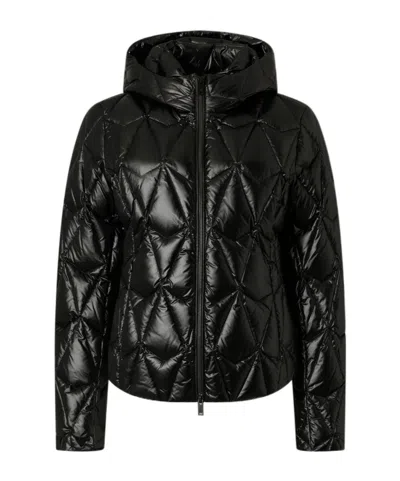 Moose Knuckles Hooded Quilted Down Jacket In Black