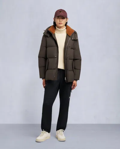 Moose Knuckles Color: Espresso In Brown