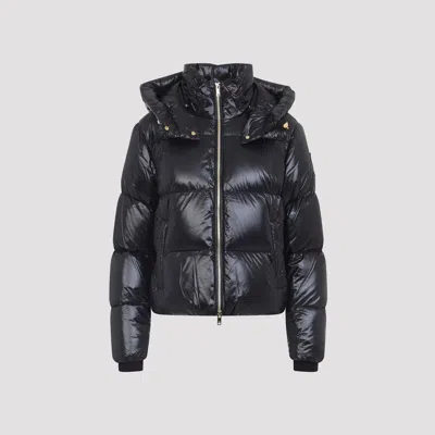 Moose Knuckles Moonstone Jacket Gold In Black