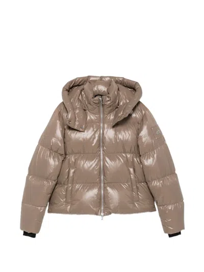 Moose Knuckles Moonstone Hooded Quilted Jacket In Brown