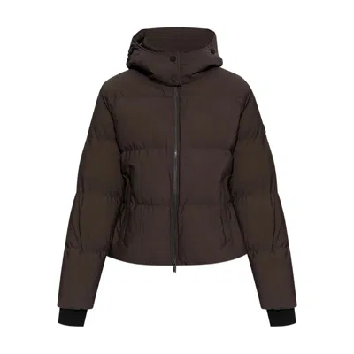 Moose Knuckles Outerwears In Brown