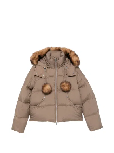Moose Knuckles Pom-pom Trim Puffer Jacket In Brown