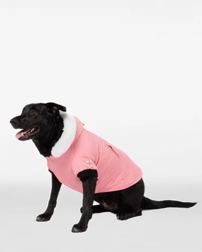 Moose Knuckles Pooch Parka In Pink