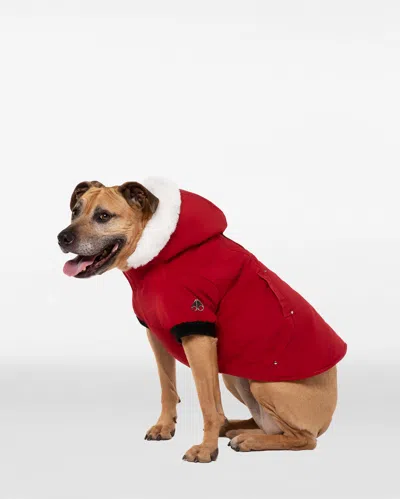 Moose Knuckles Pooch Parka In Red