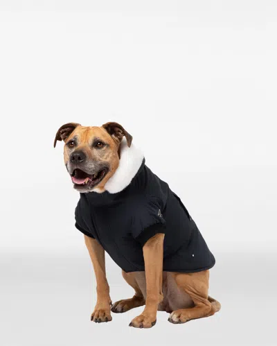 Moose Knuckles Pooch Parka In Black
