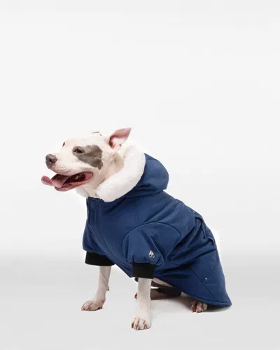 Moose Knuckles Pooch Parka In Blue