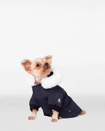 Moose Knuckles Pooch Parka In Blue