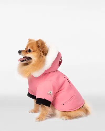 Moose Knuckles Pooch Parka In Pink