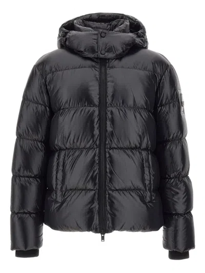 Moose Knuckles Removable-hood Puffer Jacket In Black