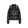 Moose Knuckles Wintercoat In Black