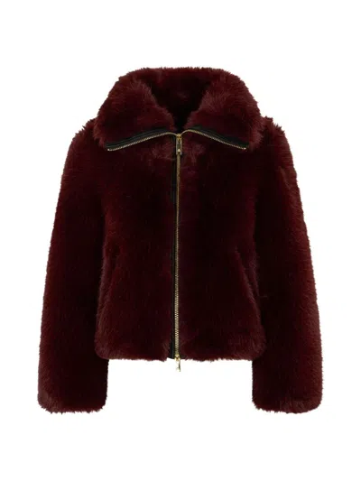 Moose Knuckles Women's Sutton Bunny Jacket In Brown