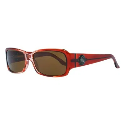 More & More Plastic Women's Sunglasses In Brown