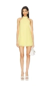 More To Come Calanthe Mini Dress