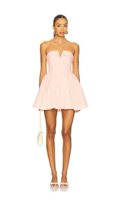 More To Come Paola Mini Dress In Pink