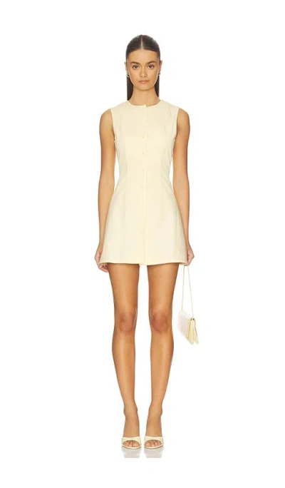 More To Come Selma Mini Dress In White