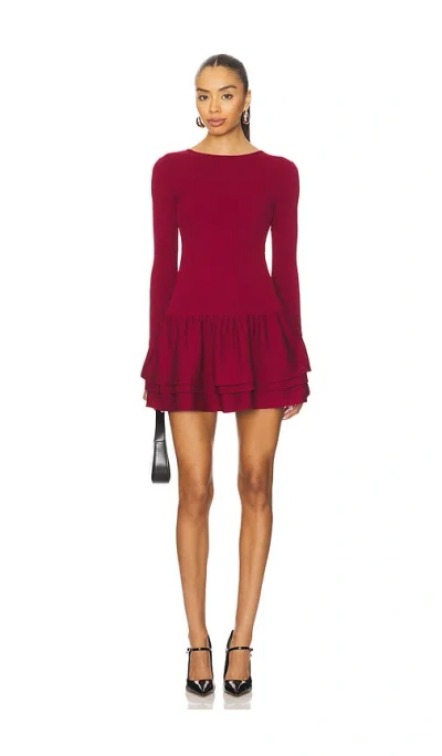 More To Come Stefani Mini Dress In Burgundy