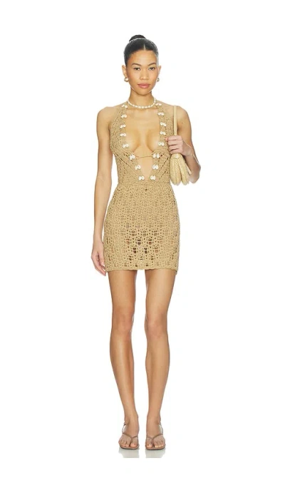More To Come Tamia Crochet Mini Dress In Brown