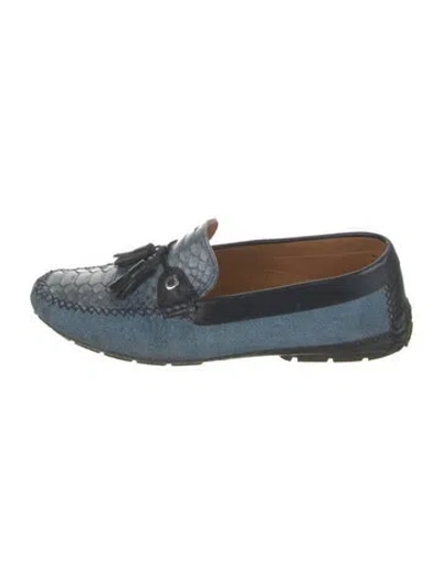 Pre-owned Moreschi Leather Animal Print Drivers In Blue