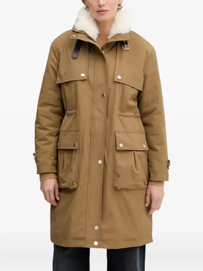 Morgan Buckle Collar Jacket In Brown